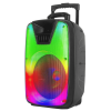 IQ Sound 12" Portable Bluetooth DJ Speaker